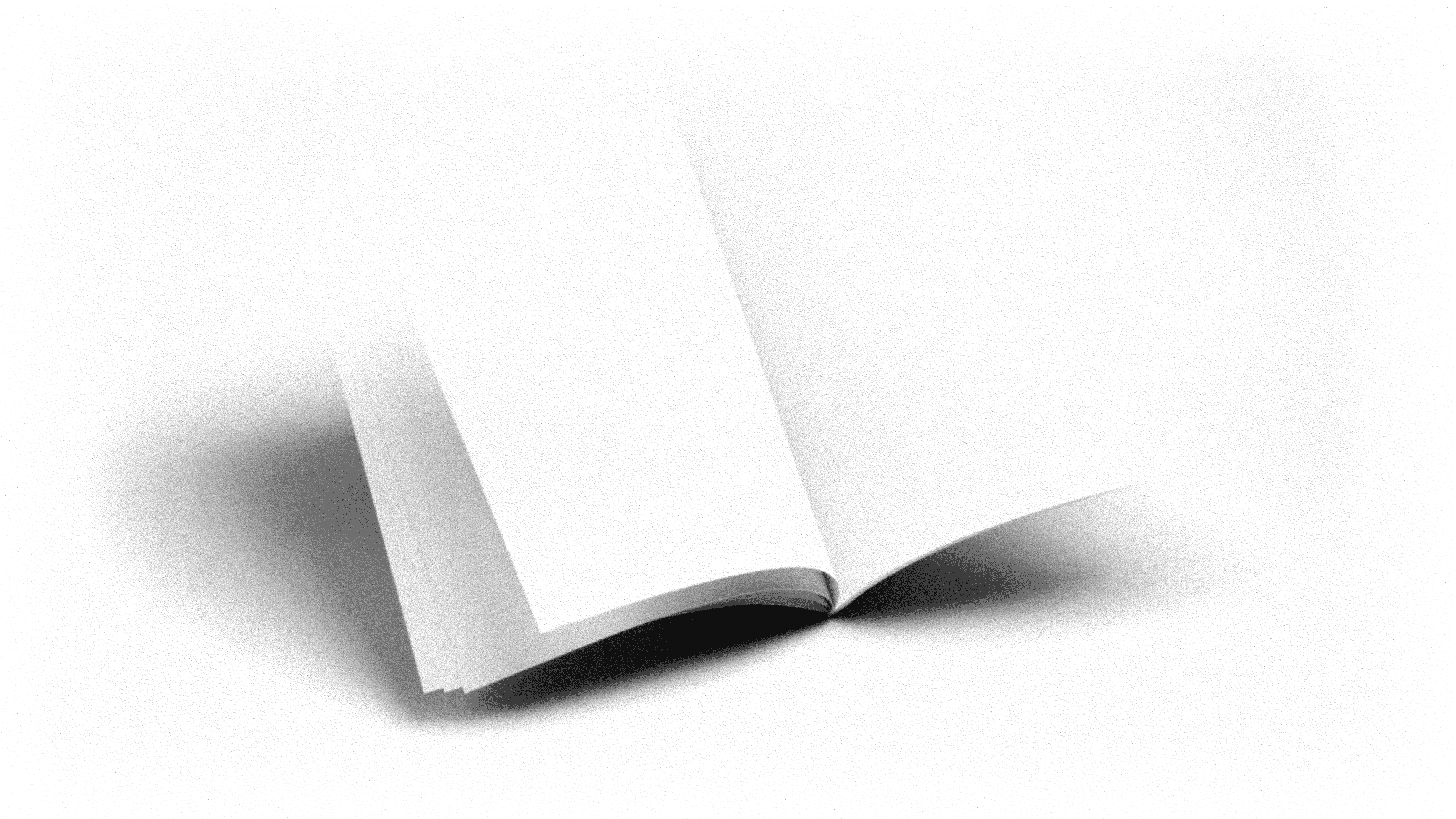 An image of shadows cast by an open book, but no book just the suggestion of bound pages.
